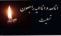 درگذشت جانکاه و ناگهانی دانشجو سرکار خانم سیده مهنا حسینی دانشجوی بین الملل